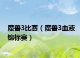 魔兽3比赛（魔兽3血液锦标赛）