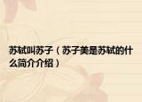 苏轼叫苏子（苏子美是苏轼的什么简介介绍）