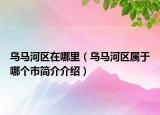 乌马河区在哪里（乌马河区属于哪个市简介介绍）