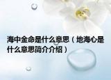 海中金命是什么意思（地海心是什么意思简介介绍）