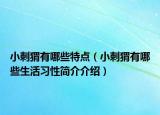 小刺猬有哪些特点（小刺猬有哪些生活习性简介介绍）