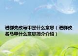 进群先改马甲是什么意思（进群改名马甲什么意思简介介绍）