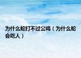 为什么蛇打不过公鸡（为什么蛇会吃人）