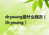 dryoung是什么档次（Dr,young）
