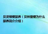 贝灵顿梗禁养（贝林登梗为什么禁养简介介绍）