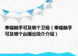 幸福触手可及哪个卫视（幸福触手可及哪个台播出简介介绍）