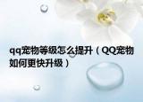 qq宠物等级怎么提升（QQ宠物如何更快升级）