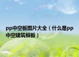 pp中空板图片大全（什么是pp中空建筑模板）