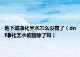 地下城净化圣水怎么没有了（dnf净化圣水被删除了吗）