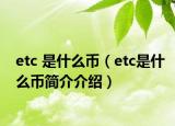 etc 是什么币（etc是什么币简介介绍）