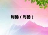 周杨（周杨）