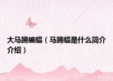 大马蹄蝙蝠（马蹄蝠是什么简介介绍）