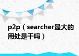 p2p（searcher最大的用处是干吗）