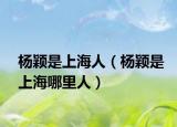 杨颖是上海人（杨颖是上海哪里人）