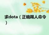 求dota（正确踢人命令）