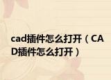 cad插件怎么打开（CAD插件怎么打开）