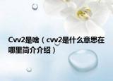 Cvv2是啥（cvv2是什么意思在哪里简介介绍）
