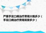 严重手足口病治疗费用大概多少（手足口病治疗费用需要多少）