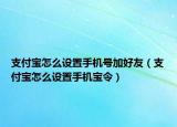 支付宝怎么设置手机号加好友（支付宝怎么设置手机宝令）