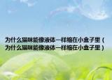 为什么猫咪能像液体一样缩在小盒子里（为什么猫咪能像液体一样缩在小盒子里）