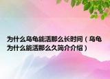 为什么乌龟能活那么长时间（乌龟为什么能活那么久简介介绍）