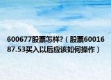 600677股票怎样?（股票6001687.53买入以后应该如何操作）
