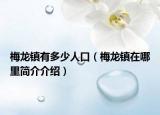 梅龙镇有多少人口（梅龙镇在哪里简介介绍）