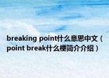 breaking point什么意思中文（point break什么梗简介介绍）