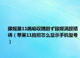 鑻规灉11鎷嶇収鏄剧ず鎵嬫満鍨嬪彿（苹果11拍照怎么显示手机型号）