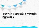 平远五指石哪里最好（平远五指石石林寺）