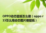 OPPO动态壁纸怎么做（oppo r15怎么用动态图片做壁纸）