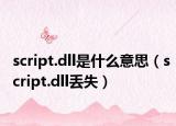 script.dll是什么意思（script.dll丢失）