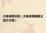 大体老师又称（大体老师的释义简介介绍）