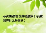 qq牧场养什么赚钱最多（qq牧场养什么升级快）