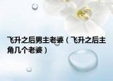 飞升之后男主老婆（飞升之后主角几个老婆）