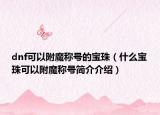 dnf可以附魔称号的宝珠（什么宝珠可以附魔称号简介介绍）