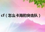 cf（怎么卡海豹突击队）