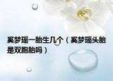 奚梦瑶一胎生几个（奚梦瑶头胎是双胞胎吗）