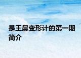 是王晨变形计的第一期简介