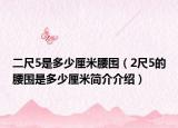 二尺5是多少厘米腰围（2尺5的腰围是多少厘米简介介绍）