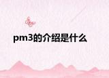 pm3的介绍是什么