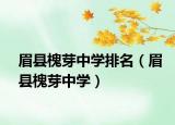 眉县槐芽中学排名（眉县槐芽中学）