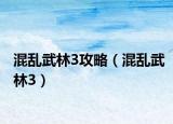 混乱武林3攻略（混乱武林3）