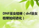 DNF巫女桔梗（dnf巫女桔梗如何进化）