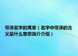 带泽名字的寓意（名字中带泽的含义是什么意思简介介绍）