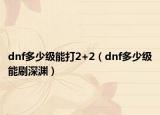 dnf多少级能打2+2（dnf多少级能刷深渊）