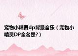 宠物小精灵dp背景音乐（宠物小精灵DP全名是?）