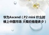 华为Ascend（P2 mini 什么时候上中国市场 大概价格是多少）