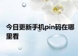 今日更新手机pin码在哪里看