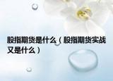 股指期货是什么（股指期货实战又是什么）